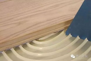 地板輔料大全 一個都不能小看膠粘制品